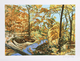 Forest Stream 7