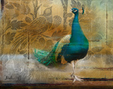 Feathered Dreams II