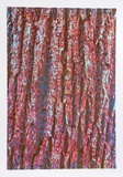 Tree Bark