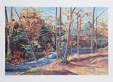 Forest Stream