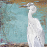 Tropic Heron II