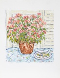 Flower Pot