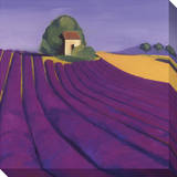 Fields