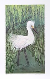 Snow Bird