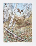 In the Birches