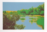 Fishing Hole