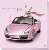 In The Pink! - Porsche Pig 2
