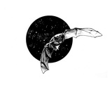 Vampire Bat (Revenge of the Vampire  Illustration no 32)
