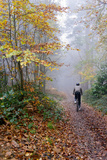 Forest cycling