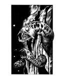 Rock Eels (Revenge of the Vampire  Illustration no 08)