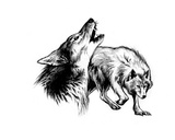 Wolves (Revenge of the Vampire  Illustration no 33)