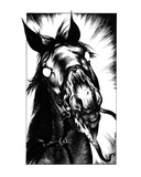 Demon Steed (Revenge of the Vampire  Illustration no 17)