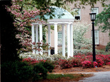 University of North Carolina - UNC's Old Well Framed by Spring Flowers