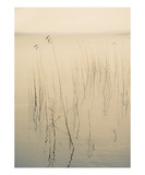 Misty Lake  Sweden
