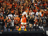 University of Miami - Miami Mascot
