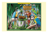 A Company of Parrots