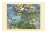 Waterlilies  1918