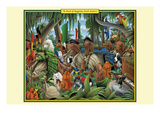 A Pack of Ragtime Irish Setters