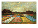 Flower Beds of Holland