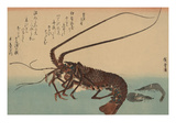 Shrimp and Lobster (Ise Ebi to Shiba Ebi)