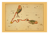 Pisces