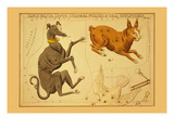Canis Major  Lepus  Columba Noachi and Cela Sculptoris