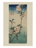 Small Bird on a Branch of Kaidozakura (Kaido Ni Shokin)