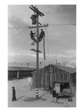 Line Crew at Work in Manzanar