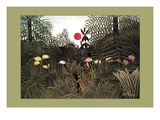 Virgin Forest
