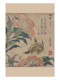 Peony and Canary