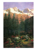 Canadian Rockies