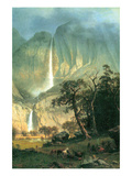 Cho-Looke  Yosemite Waterfall