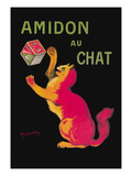 Amidon Au Chat