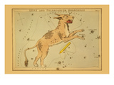 Lynx and Telescopium Herschilii