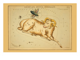 Aries and Musca Borealis