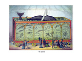 The Aquarium