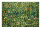 Patch of Grass by Van Gogh