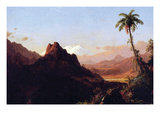 In the Tropics
