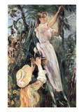 The Cherry Tree