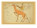 Camelopardalis  Tarandus and Custos Messium