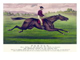 Parole: Brown Gelding  by Imp Leamington  Dam Maiden by Lexington