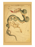 Draco and Ursa Minor