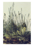 The Large Piece of Grass