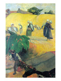 Harvest in Brittany