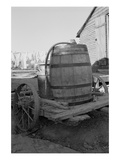 Water Barrel