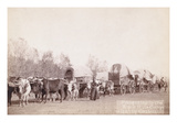 Freighting in the Black Hills