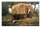 Barnyard