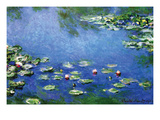 Water Lilies