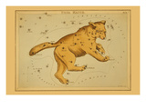 Ursa Major