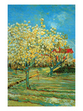Orchard with Cypress by Van Gogh